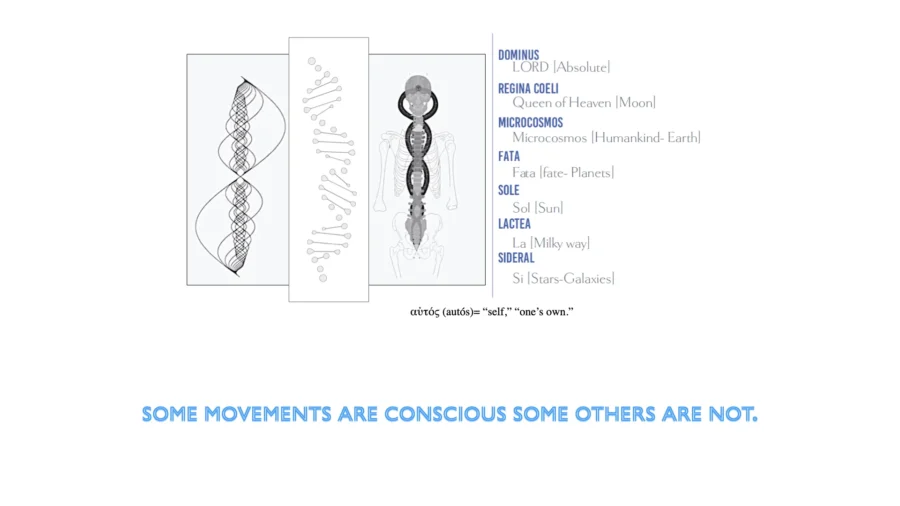 Illustrated diagram of the human spine, geometric patterns, and the conscious and unconscious.